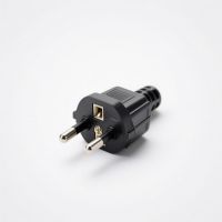 Plug