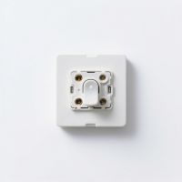 Switch
