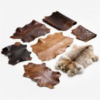 Leather & Fur