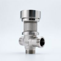 Valve Strainer