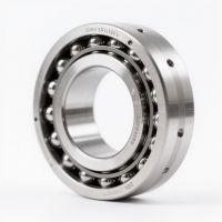 Slewing Bearing