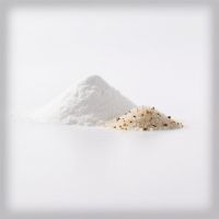 Flavor Enhancers & Umami Boosters