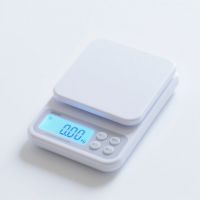 Electronic Scale