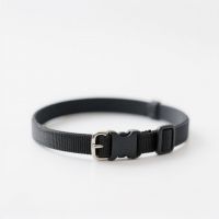 Pet Collar